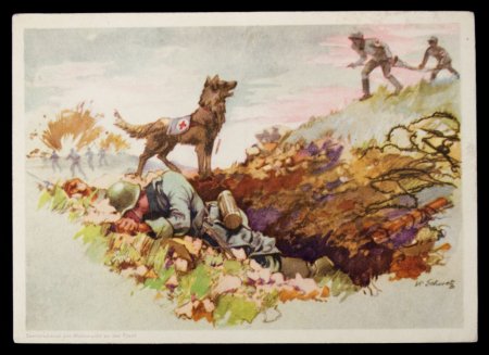 Собака санитар серия сюжетных картинок