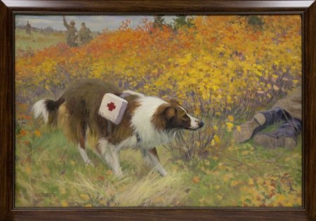 Алексей Никанорович комаров собака санитар