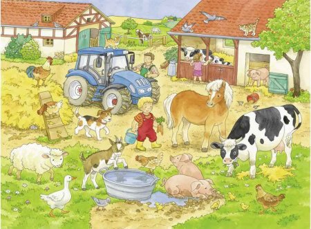 Домашние животные в деревне