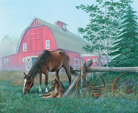 Джон Биндон Сельская жизнь