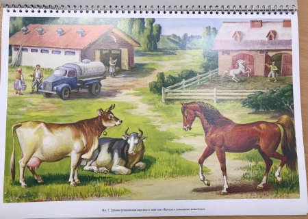 Наглядный материал для дошкольников