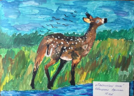 Мир заповедной природы конкурс