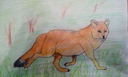 Рисунок на тему природа