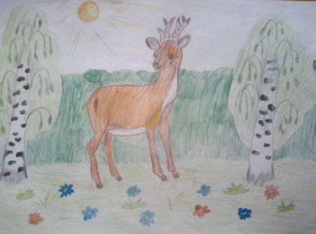 Тундра рисунок