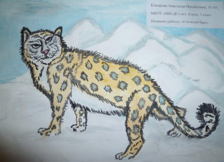 Заповедник рисунок