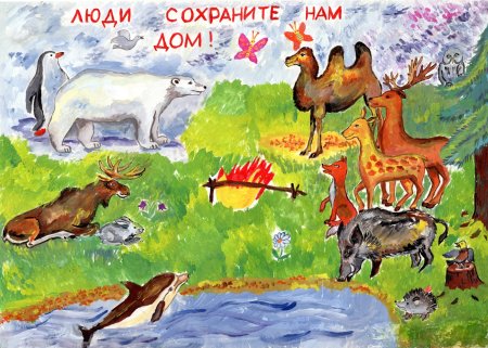 Что такое заповедник для детей