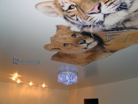 Натяжной потолок с тигром