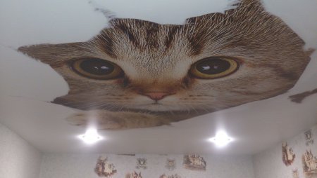 Фотопечать на потолке