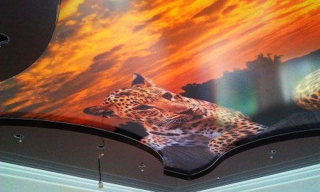 Натяжной потолок с рисунками автомобилей