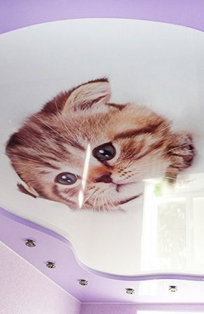 Натяжные потолки с животными