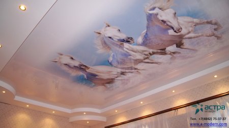 Животные на потолке