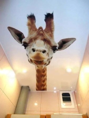 Потолок с животными