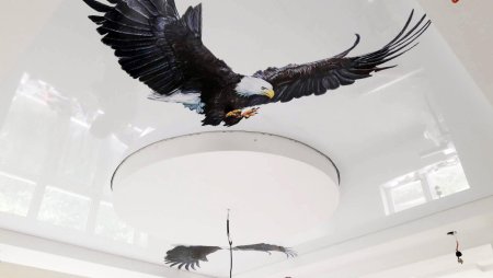 Натяжные потолки с животными