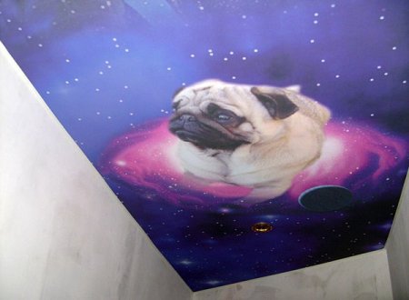Потолок с фотопечатью смешные