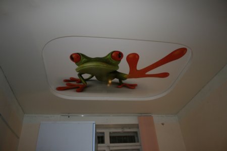 Натяжные потолки с фотопечатью животных