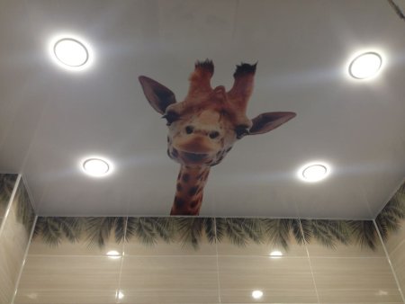 Потолок с фотопечатью в ванную