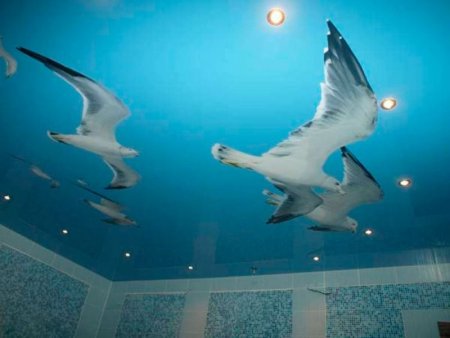 Натяжные потолки с животными