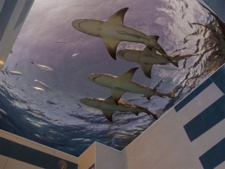 Натяжные потолки 3д