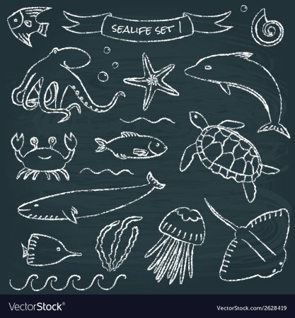 Животные мелом на доске