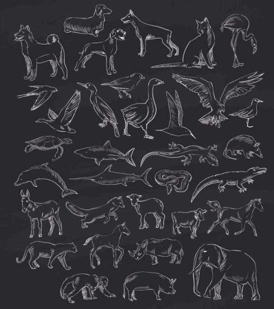 Животные мелом
