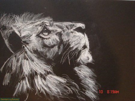 Животные мелом на доске