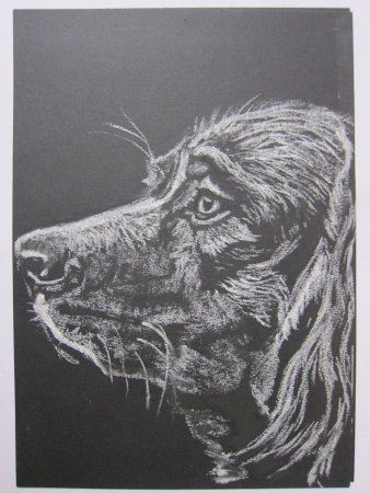 Меловая доска с зайцем