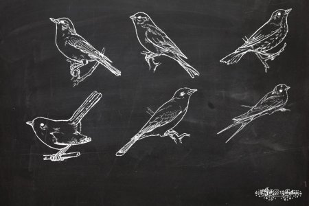 Рисовать мелом на доске