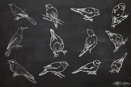 Собака рисунок мелом