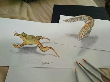 Объемный рисунок животного