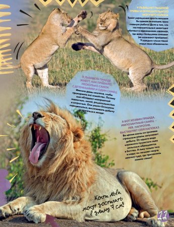 Журнал про животных