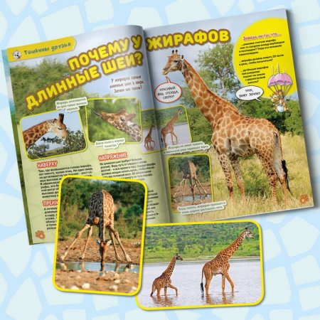 Журнал про животных