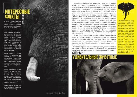 Журнал о животных для детей