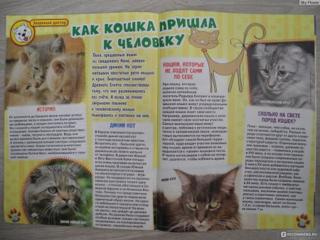 Обложка журнала в мире животных