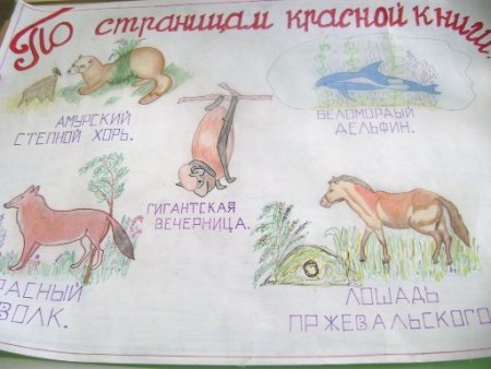 Журнал в мире животных