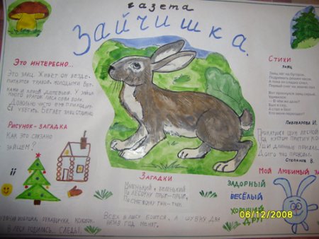 Никита Чарушин "рисуем птиц"