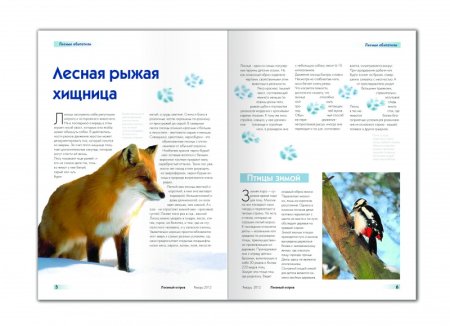 История дизайна животных