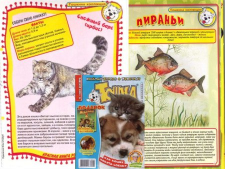 Чарушин книги невиданные звери