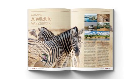 Детский журнал Тошка содержание