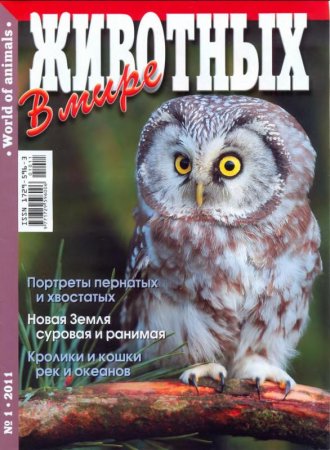 Детский журнал Тошка и компания