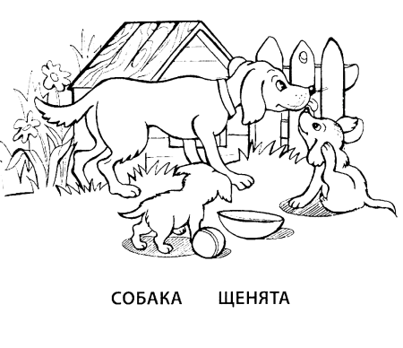 Домашние животные и их Детеныши раскраска