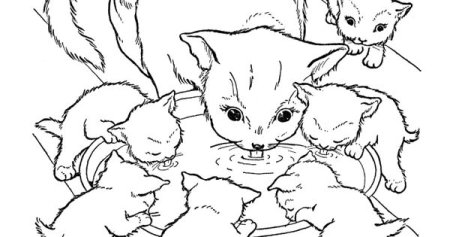 Кошка заботится о котятах раскраска