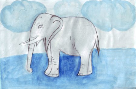 Животные которые нуждаются в охране рисунок