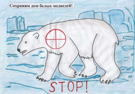 Нарисуй плакат берегите животных