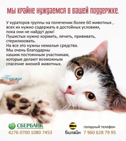 Животные нуждаются в помощи