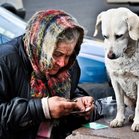 Всем животным нужен дом