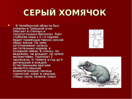 Красная книга Челябинской области описание животных