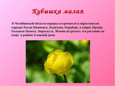 Кубышка малая Челябинской области занесенные в красную книгу