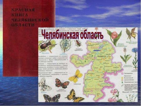 Растения красной книги Челябинска