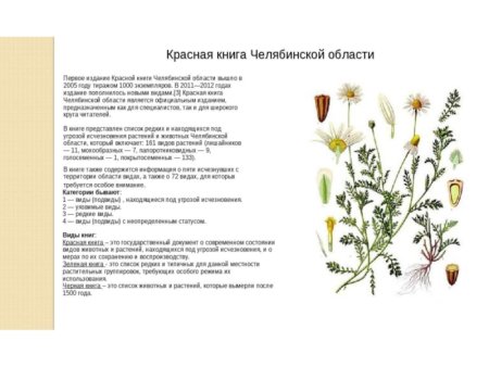 Растения красной книги Челябинской области
