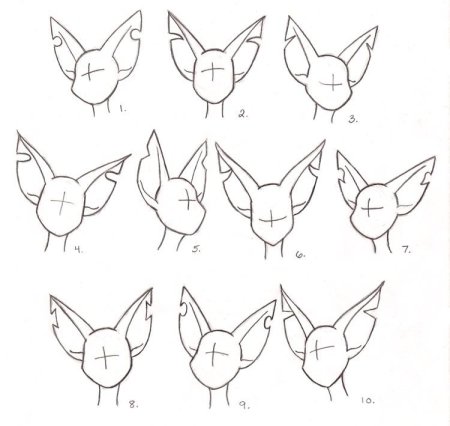 Кошачьи уши референс